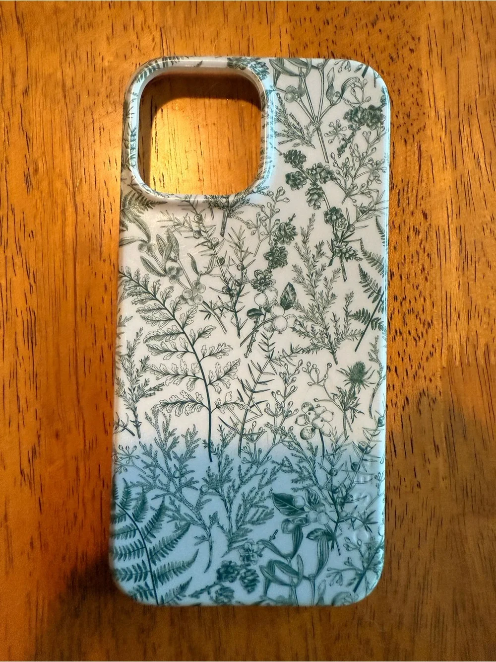 iPhone 13 Pro Max cases!
